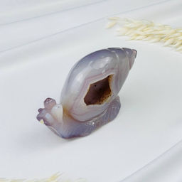 Улитка резная из Агата серого с жеодой