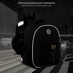 RAz-586-7 Рюкзак школьный - Grizzly фото 16