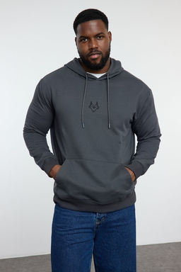 TRENDYOL MAN Buyuk Beden Indigo Regular/Normal Kesim Kapusonlu Ici Polarl? Sweatshirt TMNAW25AO00006