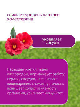 Масло камелии сасанквы - Травы горного крыма фото 11