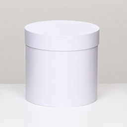 Шляпная коробка белая, 18 х 18 см