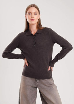 154583/190апш_1 Джемпер жен. (ЧЗ)