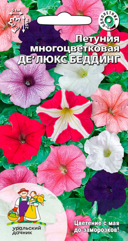Петуния ДЕЛЮКС БЕДДИНГ  Многоцветковая