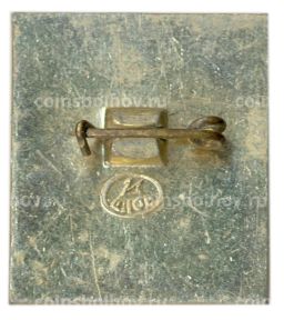 Значок Владимир