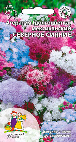 Агератум СЕВЕРНОЕ СИЯНИЕ