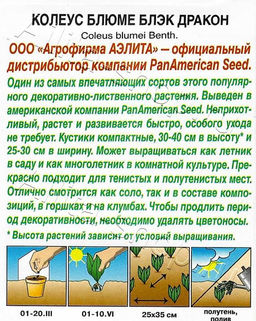 Колеус блюме Блэк дракон 5шт. (Аэлита)