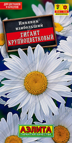 Нивяник крупноцветковый Гигант