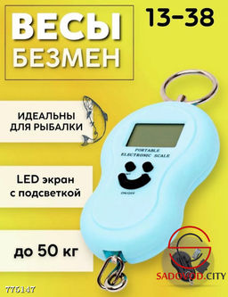 Весы-безмен до 50 кг 1 шт