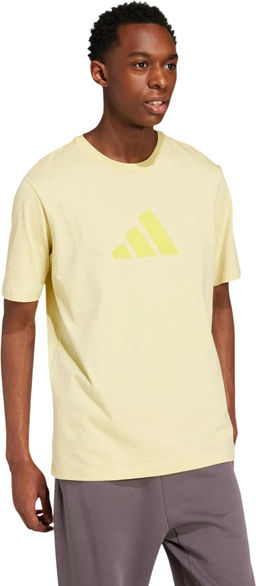 Футболка мужская