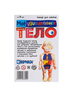 Набор для опытов Мое удивительное тело - Эврики фото 18