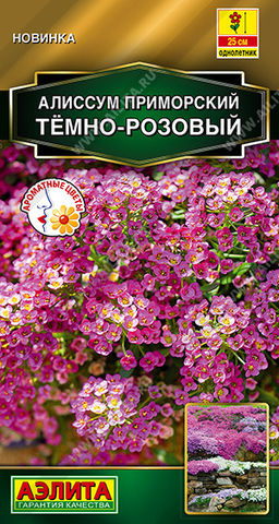Алиссум приморский Тёмно-розовый (2029