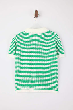 Yesil Polo Yaka Cizgili Triko Orta Bluz TWOSS25BZ00183