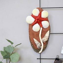 Blumentag / Zlatka DRF-032 Ракушки морские 5 шт. 6.3 см Cerethium Aloco  фото 4