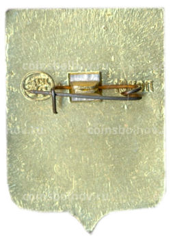 Значок Воронеж