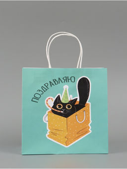 Цена за 2 шт. Пакет подарочный «Поздравляю», 22 × 22 × 11 см