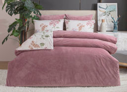 Бегония (маджента)