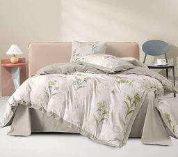 КПБ Candies Бархатный Cатин Luxury CANBSL009 Семейный