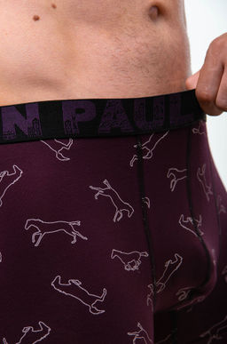 Мужские трусы-боксеры Kenn Paul  фото 3