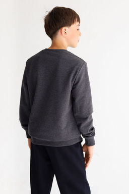 Свитшот Энди MINIDINO