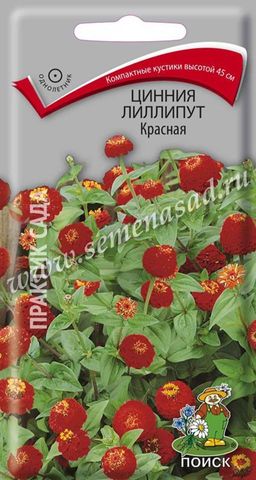 Цинния лиллипут Красная (ЦВ) (1) 0,4гр.