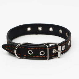 Ошейник кожаный однослойный, безразмерный, 56 х 2.5 см, ОШ 17-44 см, чёрный - Пижон фото 2