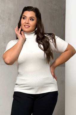 Водолазка-4613