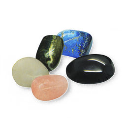 Раскопки "Нептун" в коробке