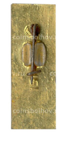 Значок Вечный огонь 1941-1945