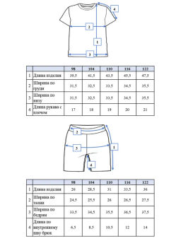 PlayToday / Комплект трикотажный для мальчиков: фуфайка (футболка), шорты  фото 7