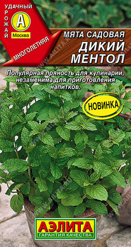 Мята садовая Дикий ментол