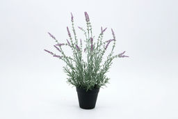 7be4da884a8751ec106b409d2c314bd33vujt3s248m4l85gpk