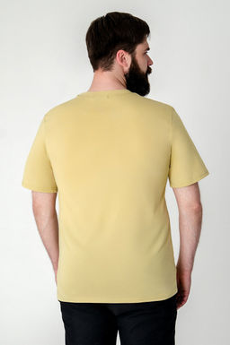 Арт. 614-149 Футболка мужская 48-56 (5 шт) Цвет:горчичный