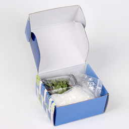 Свеча своими руками. Создание ароматической свечи с сухоцветами Зеленое яблоко, набор для творчества