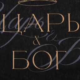 Полотенце кухонное Доляна Царь, 35х60 см, 100% хлопок, 160г/м2  фото 3