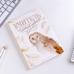 Подарочный набор, ежедневник А5, 80 л., стикеры, ручка «Золотой учитель»