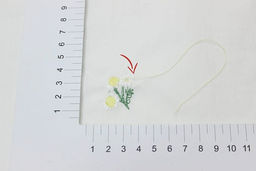 Перкаль Премиум с вышивкой Полевые цветочки цв.белый, СОРТ2, ш.1.54м, хл-100%, 115гр/м.кв - Купава фото 8