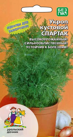 Укроп СПАРТАК