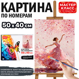 Картина по номерам MKR5040-111 "Розовый танец" 30х40 см.