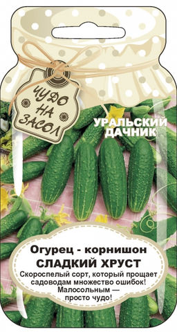 Огурец СЛАДКИЙ ХРУСТ Прощает садоводам множество ошибок! Малосольными просто чудо! - Уральский дачник фото 4