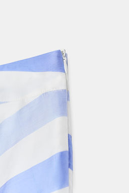 FALDA MIDI RAYAS / Azul / Blanco - Zara фото 12