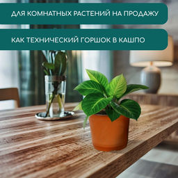 Цена за 15 шт. Горшок для рассады, 1.5 л, d=15.5 см, h=12.5 см, мягкий пластик, терракот, Greengo
