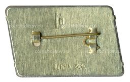 Значок Петродворец