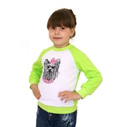 ДЖ009 Джемпер для девочки "Болонка". Цвета микс