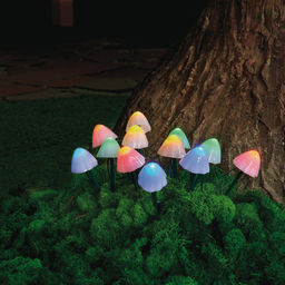 USL-S-830/PM020 MULTICOLOR MUSHROOMS SET12 Садовый светильник на солнечной батарее Разноцветные грибы, в комплекте из 12 штук. 12 светодиодов. Разноцветный свет. 1*АA Ni-Mh аккумулятор в/к. IP44. TM Uniel - Volpe фото 4