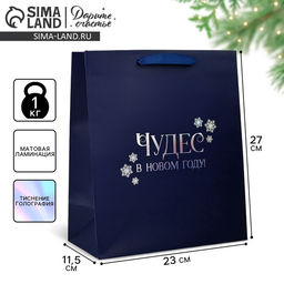 Пакет подарочный новогодний «Чудес в Новом году», голография, ML 23×11.5×27 см