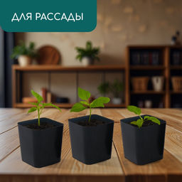 Цена за 20 шт. Горшок для рассады, 500 мл, 8.5×8.5×9.5 см, пластик, чёрный, Greengo