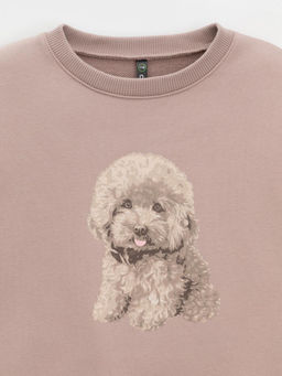 КР 302816/латте к625 джемпер (свитшот) для дев