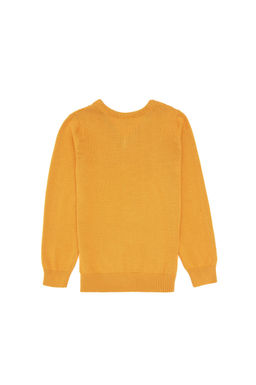 Erkek _ocuk Hardal Basic V Yaka Kazak Sepette S_rpriz _ndirim - U.s. polo assn фото 2