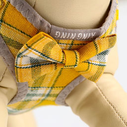 Комплект амуниции с мягкой шлейкой, 120 х 1 см, ОШ 28-54 см, ОГ 36-60 см, серо-жёлтая клетка - Пижон фото 4