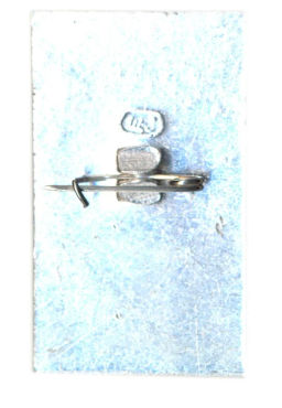 Значок И.Тургенев